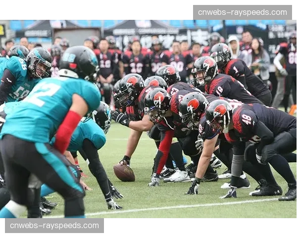 橄榄球消费市场分层:核心粉丝追求深度内容与沉浸式体验